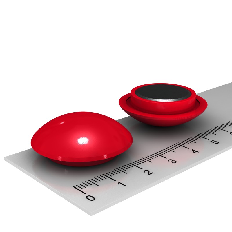 Pin 30x11 mm For Pin Board set of 5 Office & Household